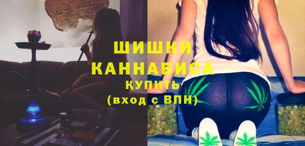 прущие грибы Семикаракорск