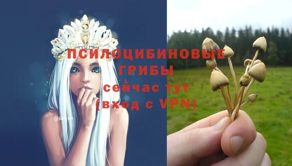СК Волосово