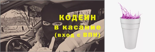 индика Семёнов