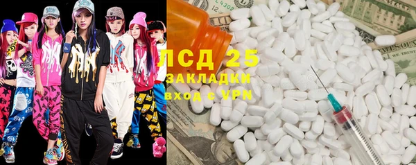 прущие грибы Семикаракорск