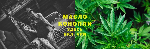 прущие грибы Семикаракорск